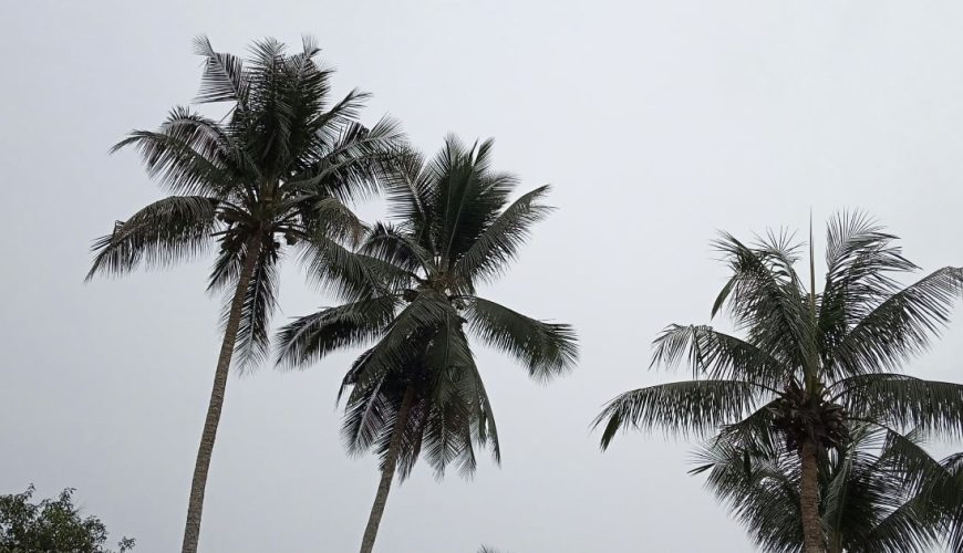 هشدار قرمز هواشناسی امارات: مه غلیظ در دبی و ابوظبی همراه با دمای 40 درجه سیلسيوس