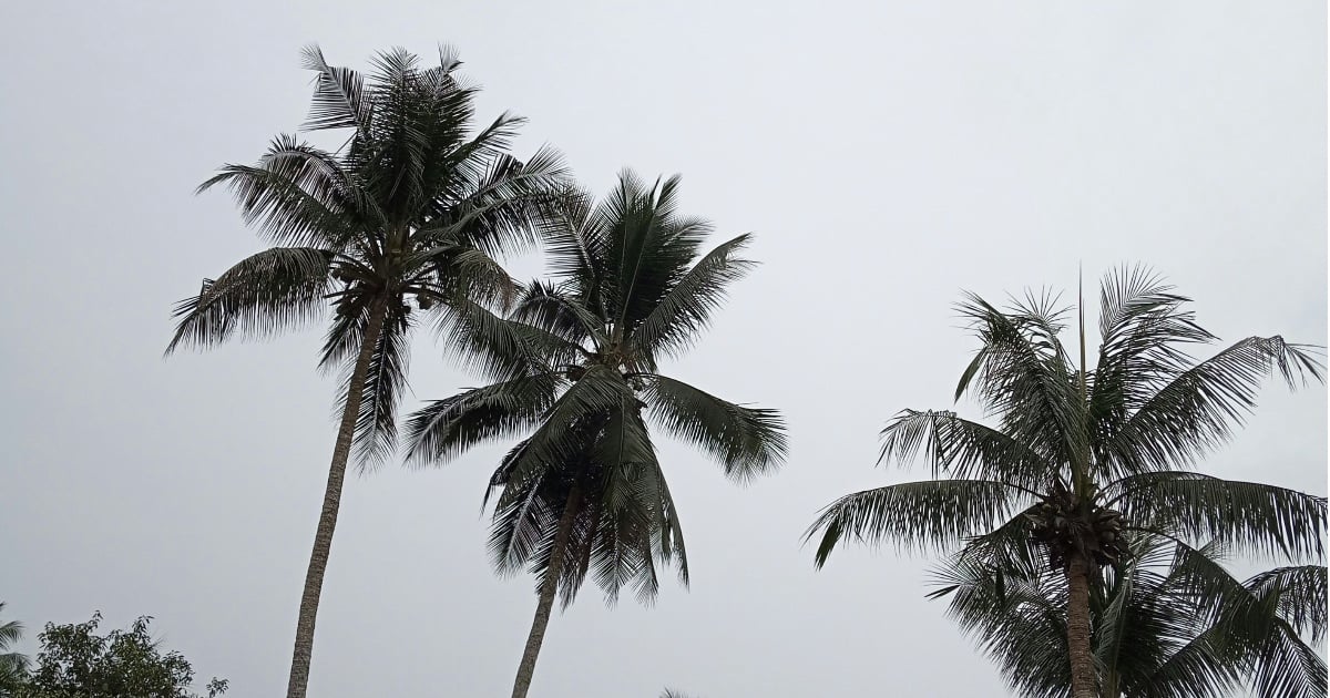 هشدار قرمز هواشناسی امارات: مه غلیظ در دبی و ابوظبی همراه با دمای 40 درجه سیلسيوس