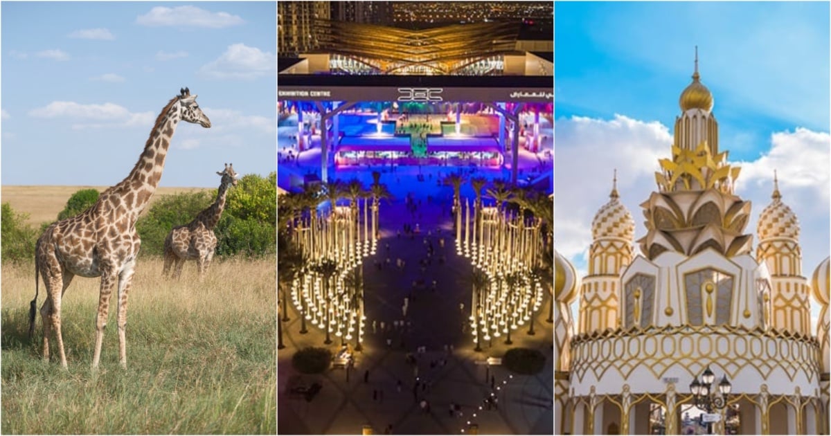 برترین رویدادهای این هفته در دبی که نباید از دست دهید