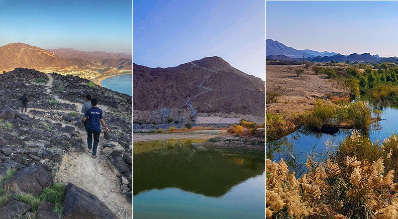 گام به سوی ماجراجویی: بهترین مسیرهای پیاده‌روی در امارات متحده عربی