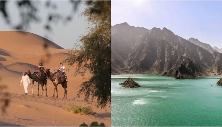 بهترین فعالیت‌های طبیعی در دبی که همین حالا باید تجربه کنید