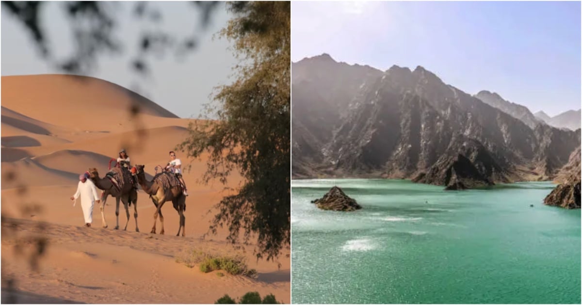 بهترین فعالیت‌های طبیعی در دبی که همین حالا باید تجربه کنید