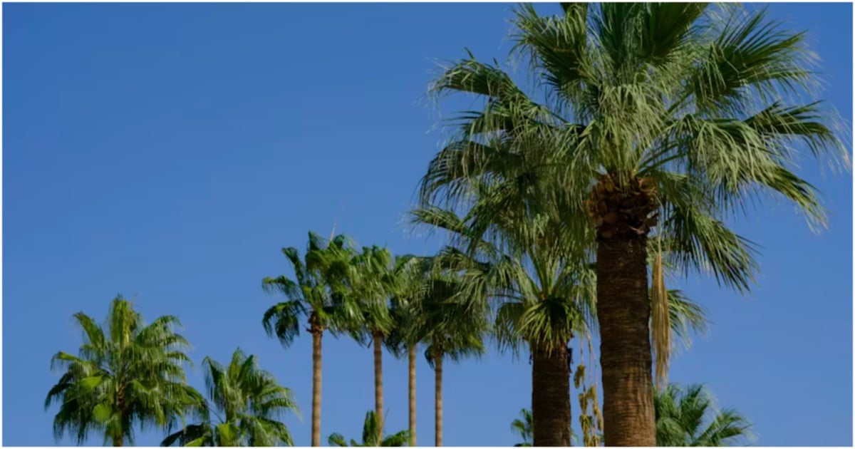 آغاز رسمی فصل زمستان در امارات؛ شب‌های خنک و مطبوع بالاخره رسید