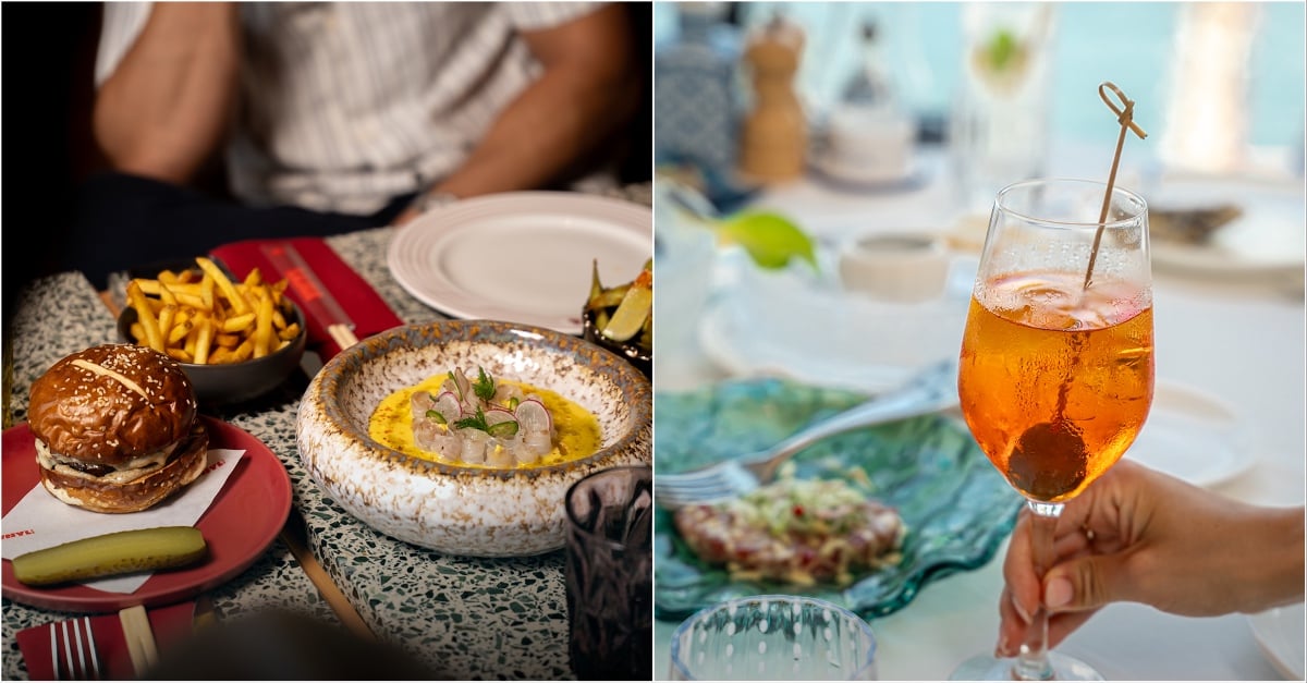 چرا برانچ در بلوواترز همیشه ایده‌ای عالی است