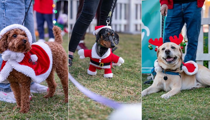 فراموش نکنید! بارک‌فست این آخر هفته با سرگرمی‌های جشنواره‌ای به ساحل می‌آید