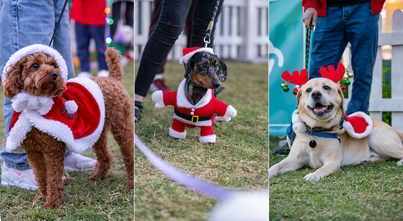 فراموش نکنید! بارک‌فست این آخر هفته با سرگرمی‌های جشنواره‌ای به ساحل می‌آید