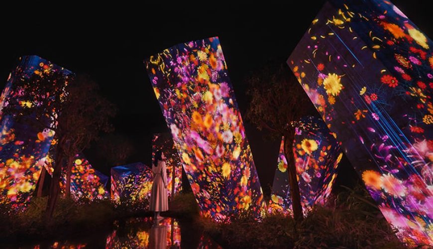 تجربه‌های هنری جدید در teamLab Phenomena ابوظبی افتتاح شد
